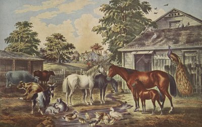 American Farm Yard - Morning by American School
